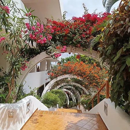 29 Parque Royal אדחה