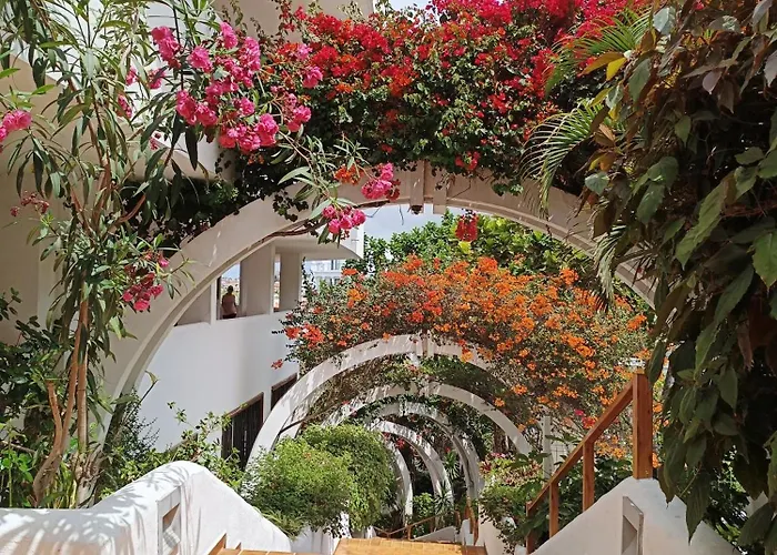 29 Parque Royal Costa Adeje (Tenerife)